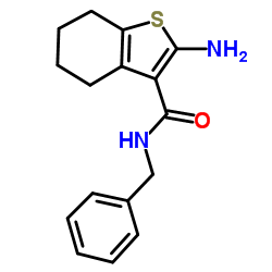 2-AMINO-4,5,6,7-TETRAHYDRO-BENZO[B]THIOPHENE-3-CARBOXYLIC ACID BENZYLAMIDE结构式