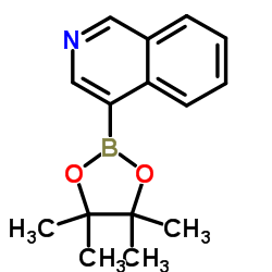 4-Isoquinolineboronic acid pinacol ester structure