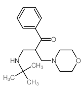 2-(morpholin-4-ylmethyl)-1-phenyl-3-(tert-butylamino)propan-1-one picture