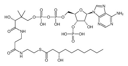 (S)-3-hydroxydecanoyl-CoA Structure