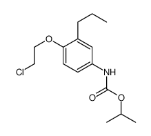 propan-2-yl N-[4-(2-chloroethoxy)-3-propylphenyl]carbamate Structure