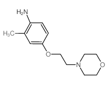 2-Methyl-4-[2-(4-morpholinyl)ethoxy]phenylamine结构式