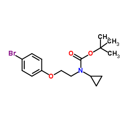 2-Methyl-2-propanyl [2-(4-bromophenoxy)ethyl]cyclopropylcarbamate结构式