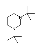 1,3-ditert-butyl-1,3-diazinane结构式