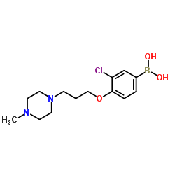 (3-chloro-4-(3-(4-Methylpiperazin-1-yl)propoxy)phenyl)boronic acid Structure