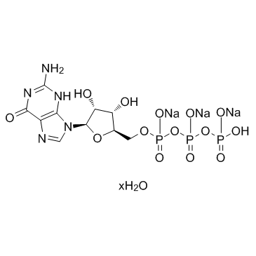 5'-GTP trisodium salt hydrate (Guanosine 5'-triphosphate trisodium salt hydrate) picture