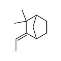 (E)-3-ethylidene-2,2-dimethylbicyclo[2.2.1]heptane结构式