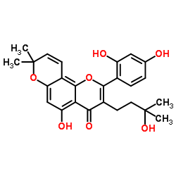 Morusinol structure