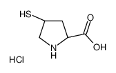 (2S,4S)-4-磺酰基吡咯烷-2-羧酸盐酸盐结构式