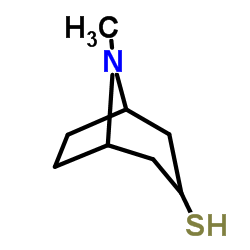 8-Methyl-8-azabicyclo[3.2.1]octane-3-thiol Structure