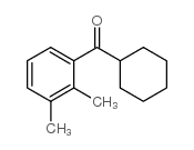 CYCLOHEXYL 2,3-DIMETHYLPHENYL KETONE structure