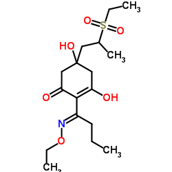SETHOXYDIM 5-OH-M-SO2结构式