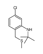 N-tert-butyl-5-chloro-2-(methylsulfanylmethyl)aniline Structure