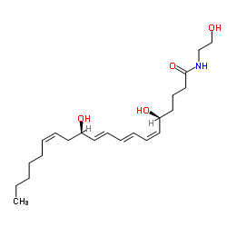 Leukotriene B4 Ethanolamide结构式