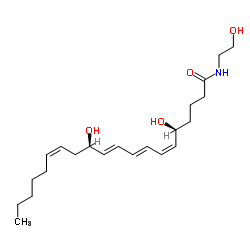 Leukotriene B4 Ethanolamide structure