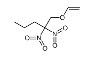 1-ethenoxy-2,2-dinitropentane Structure