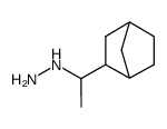 Hydrazine,[1-(2-norbornyl)ethyl]- (6CI,7CI)结构式