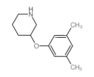 3-(3,5-Dimethylphenoxy)piperidine Structure