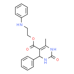 2-anilinoethyl 4-methyl-2-oxo-6-phenyl-3,6-dihydro-1H-pyrimidine-5-car boxylate structure