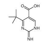 5-Pyrimidinecarboxylic acid, 2-amino-4-(1,1-dimethylethyl)- (9CI)结构式