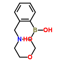 (3-(isopropoxyMethyl)phenyl)boronic acid Structure