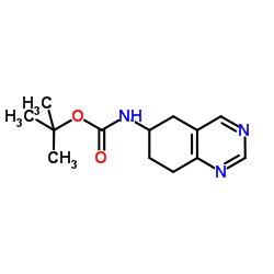 2-Methyl-2-propanyl 5,6,7,8-tetrahydro-6-quinazolinylcarbamate Structure