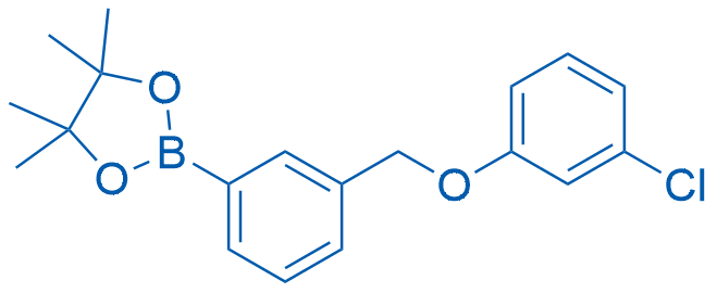 2-(3-((3-Chlorophenoxy)methyl)phenyl)-4,4,5,5-tetramethyl-1,3,2-dioxaborolane Structure