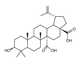 3β-Hydroxylup-20(29)-ene-27,28-dioic acid structure