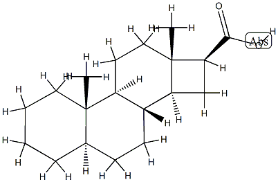 D-Nor-5α-androstane-16β-carboxylic acid picture