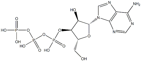 Adenosine 3'-triphosphoric acid structure