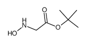 N-hydroxyglycine tert-butyl ester Structure