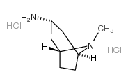 8-甲基-8-氮杂双环[3,2,1]辛-3-胺盐酸盐图片
