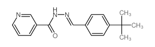 N-[(4-tert-butylphenyl)methylideneamino]pyridine-3-carboxamide structure