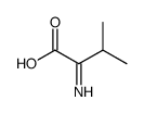 2-imino-3-methylbutanoic acid结构式