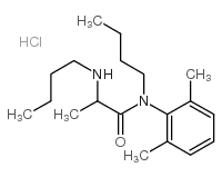 N-butyl-2-butylamino-N-(2,6-dimethylphenyl)propanamide hydrochloride结构式