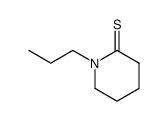 2-Piperidinethione,1-propyl- picture