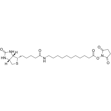 Biotin-C10-NHS Ester结构式