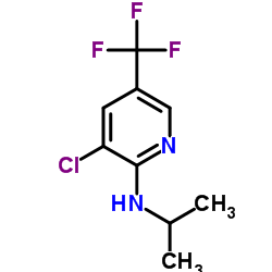 3-Chloro-N-isopropyl-5-(trifluoromethyl)-2-pyridinamine Structure