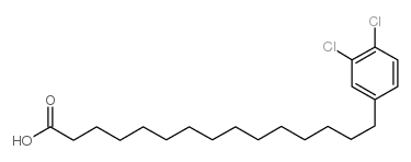 15-(3,4-dichlorophenyl)pentadecanoic acid Structure