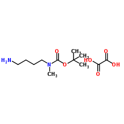 2-Methyl-2-propanyl (4-aminobutyl)methylcarbamate ethanedioate (1:1) Structure