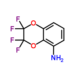 2,2,3,3-tetrafluoro-5-amino-1,4-benzodioxene structure