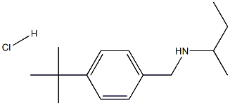 (butan-2-yl)[(4-tert-butylphenyl)methyl]amine hydrochloride structure