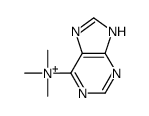 TRIMETHYLPURIN-6-YL AMMONIUM CHLORIDE structure