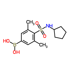 (4-(N-cyclopentylsulfamoyl)-3,5-dimethylphenyl)boronic acid picture