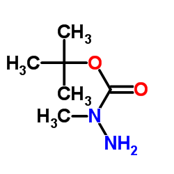 tert-Butyl 2-methylcarbazate picture