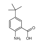 2-氨基-5-叔丁基苯甲酸结构式