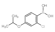 2-Chloro-4-isoproproxyphenylboronic acid structure