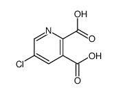 5-氯-吡啶-2,3-二羧酸结构式