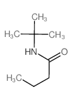N-tert-butylbutanamide structure