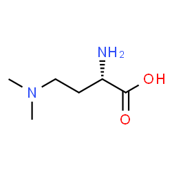 Butanoic acid, 2-amino-4-(dimethylamino)-, (S)- (9CI)结构式